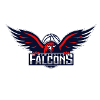 Newcastle Falcons (W)