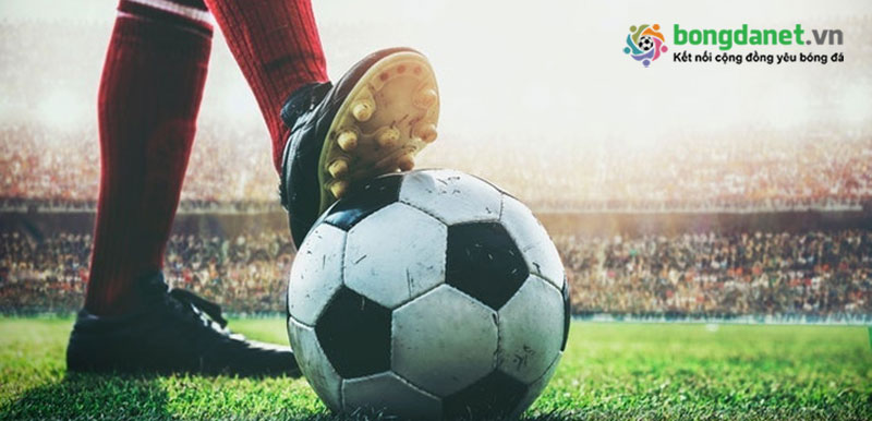 Soi keo nha cai hom nay