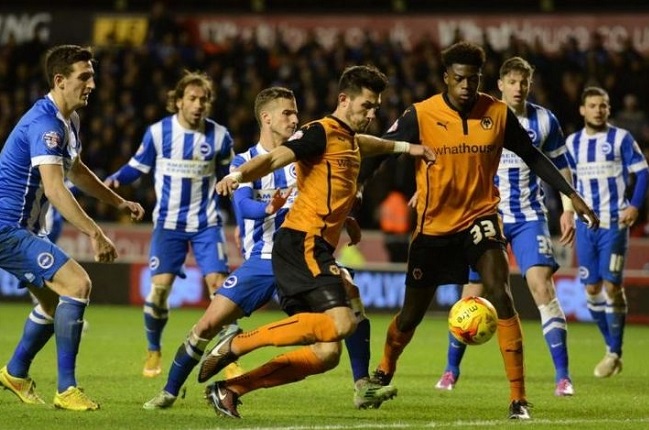 Nhận định Brighton vs Wolves, 0h30 ng&agrave;y 3/1