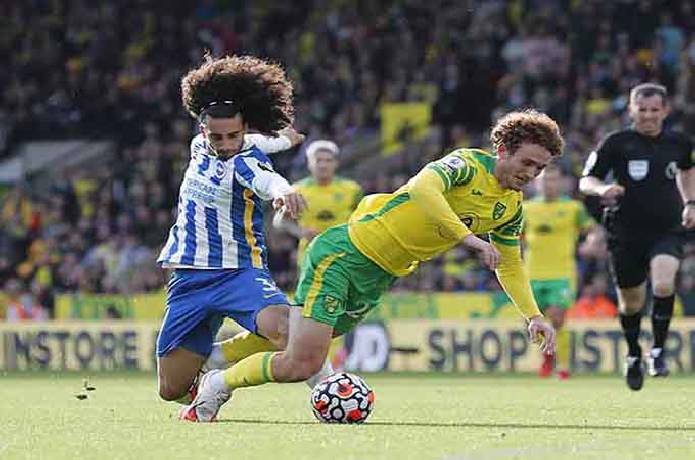 Nhận định, soi k&egrave;o Brighton vs Norwich, 21h00 ng&agrave;y 02/04
