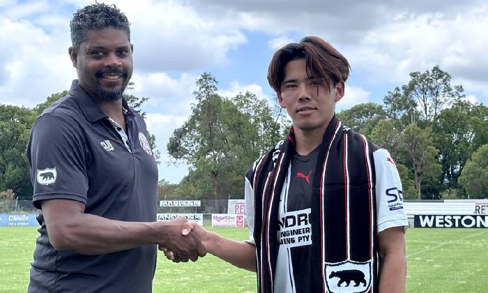 Nhận định, soi k&egrave;o Weston Bears vs Lambton Jaffas, 17h00 ng&agrave;y 2/7: Ph&aacute; dớp?