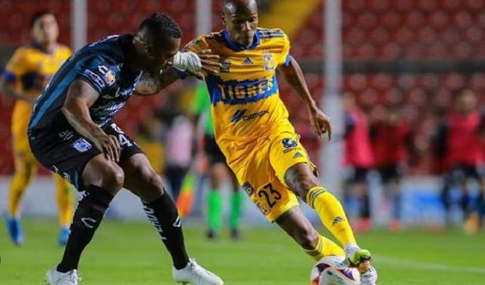 Nhận định, soi k&egrave;o Tigres vs Queretaro, 8h05 ng&agrave;y 3/9