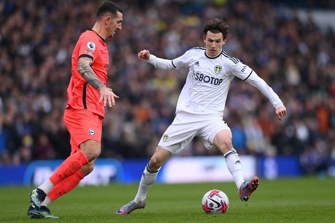 Nhận định, soi k&egrave;o Brighton vs Leeds United, 22h00 ng&agrave;y 1/11: T&igrave;m lại vị thế