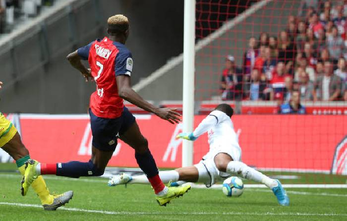 Nhận định, soi k&egrave;o Lille vs Reims, 23h ng&agrave;y 2/1