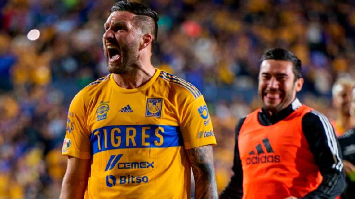 Ph&acirc;n t&iacute;ch k&egrave;o hiệp 1 Necaxa vs Tigres UANL, 8h ng&agrave;y 4/3