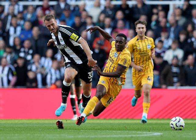 Nhận định, soi k&egrave;o Newcastle vs Brighton, 20h45 ng&agrave;y 2/3: Rượt đuổi hấp dẫn