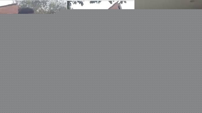 Cựu sao Inter bị bắt khẩn cấp