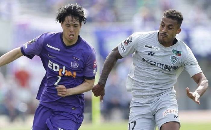 Nhận định, soi k&egrave;o Sanfrecce Hiroshima vs Avispa Fukuoka, 11h00 ng&agrave;y 3/5: T&igrave;m lại niềm vui
