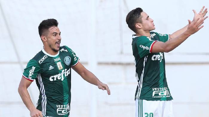 Nhận định, soi k&egrave;o CRB vs Palmeiras, 7h30 ng&agrave;y 4/6