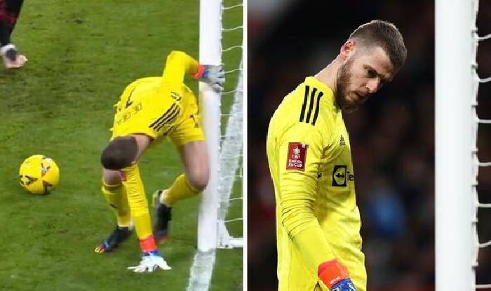 De Gea vừa thất nghiệp, fan M.U l&agrave;m cả phim để chế nhạo