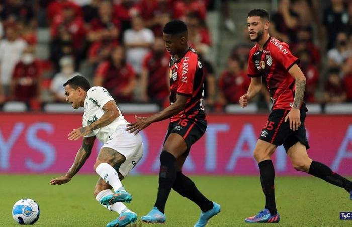 Nhận định, soi k&egrave;o Atletico Paranaense vs Palmeiras, 2h ng&agrave;y 3/7