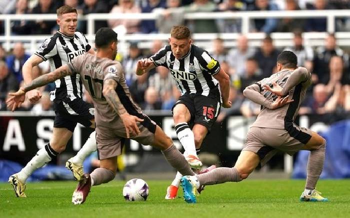 Nhận định, soi k&egrave;o Newcastle vs Tottenham, 3h15 ng&agrave;y 3/12: Ch&iacute;ch ch&ograve;e đấu G&agrave; trống