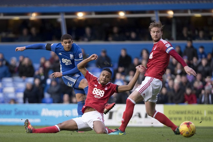 Nhận định Brighton vs Sheffield Wednesday, 22h00 ng&agrave;y 4/1