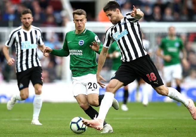 Nhận định, soi k&egrave;o Newcastle vs Brighton, 22h ng&agrave;y 5/3