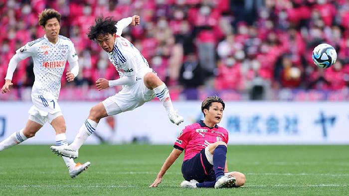 Nhận định, soi k&egrave;o Albirex Niigata vs Machida Zelvia, 17h00 ng&agrave;y 4/9: Machida Zelvia sa s&uacute;t