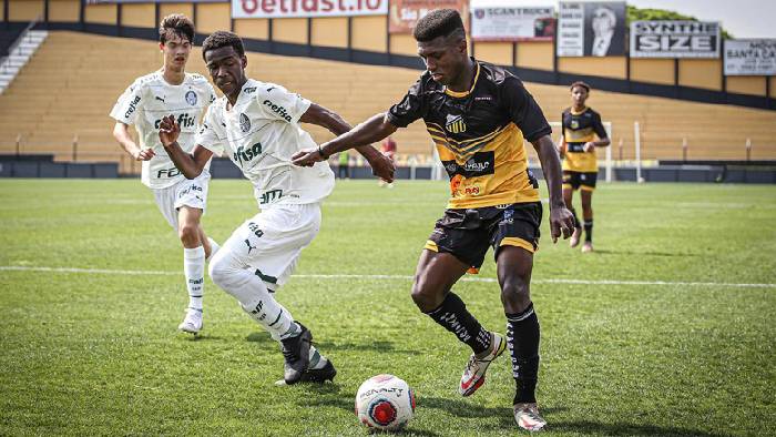 Soi k&egrave;o t&agrave;i xỉu Novorizontino vs Bahia h&ocirc;m nay, 7h30 ng&agrave;y 5/10