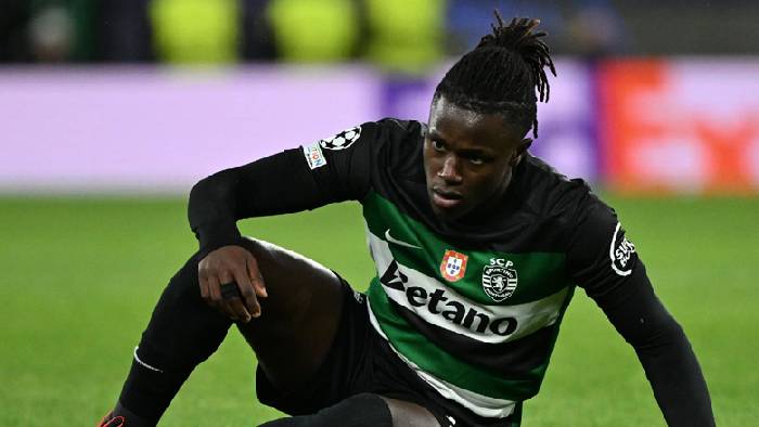 Nhận định, soi k&egrave;o U19 Sporting Lisbon vs U19 Stuttgart, 20h00 ng&agrave;y 5/3: Chủ nh&agrave; đ&aacute;ng tin