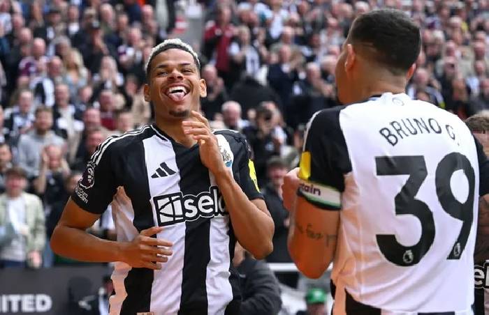 Nhận định, soi k&egrave;o Brighton vs Newcastle, 20h00 ng&agrave;y 4/5: Ch&iacute;ch ch&ograve;e gặp kh&oacute;