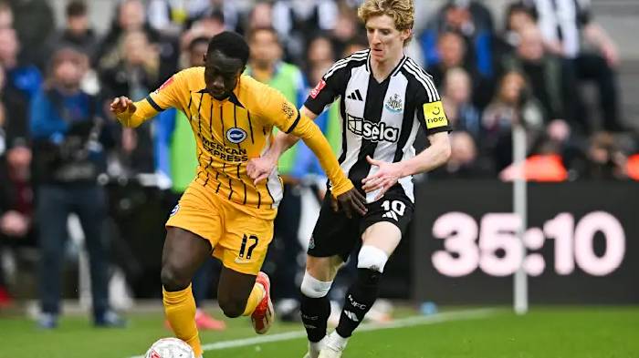 Soi k&egrave;o g&oacute;c Brighton vs Newcastle, 20h00 ng&agrave;y 4/5