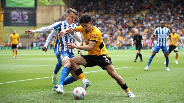 Nhận định, soi k&egrave;o Wolves vs Brighton, 20h00 ng&agrave;y 5/10: Kh&ocirc;ng bất ngờ