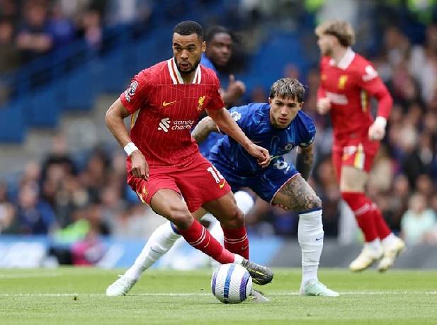 Opta dự đo&aacute;n v&ograve;ng 7 giải Ngoại hạng Anh: Liverpool gặp kh&oacute; trước Chelsea