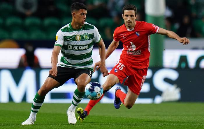 Nhận định, soi k&egrave;o Sporting Lisbon vs Gil Vicente, 3h15 ng&agrave;y 5/12