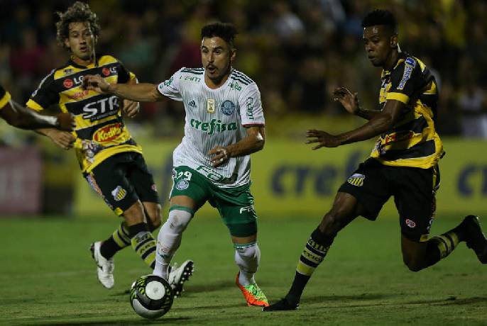 Nhận định soi k&egrave;o Tachira vs Palmeiras, 7h ng&agrave;y 7/4