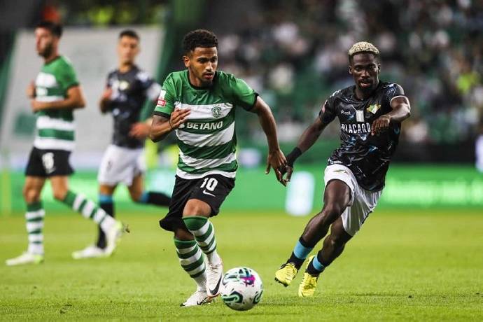 Nhận định, soi k&egrave;o Moreirense vs Sporting Lisbon, 3h15 ng&agrave;y 6/12: T&igrave;m lại mạch thắng