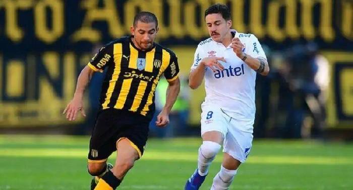 Nhận định, soi k&egrave;o Penarol vs Club Nacional, 01h00 ng&agrave;y 7/7: Thi&ecirc;n đường thứ 10 cho Club Nacional