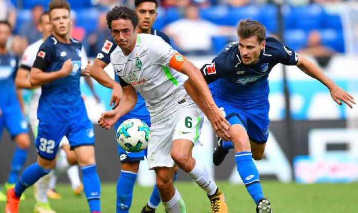 Soi bảng dự đo&aacute;n tỷ số ch&iacute;nh x&aacute;c Hoffenheim vs Bremen, 1h30 ng&agrave;y 8/10