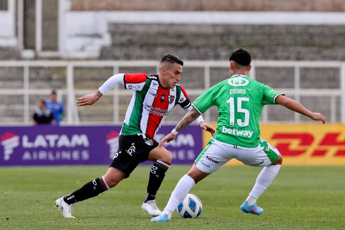 Nhận định, soi k&egrave;o Audax Italiano vs Palestino, 5h ng&agrave;y 8/7