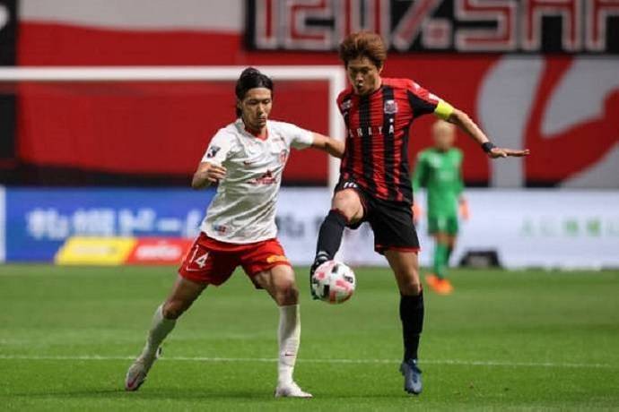 Nhận định, soi k&egrave;o Consadole Sapporo vs Toin University, 16h ng&agrave;y 8/6