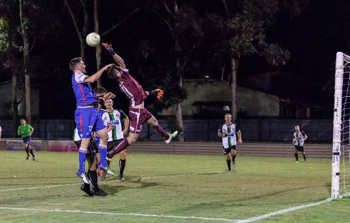 Nhận định, soi k&egrave;o Southside Eagles vs Logan Lightning, 17h30 ng&agrave;y 9/6