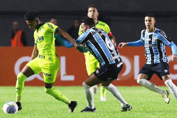 Nhận định, soi k&egrave;o Palmeiras vs Gremio, 7h30 ng&agrave;y 9/11: B&aacute;m đuổi ng&ocirc;i đầu