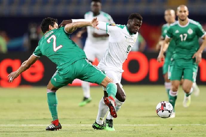 Nhận định, soi k&egrave;o Algeria vs Sierra Leone, 20h00 ng&agrave;y 11/1