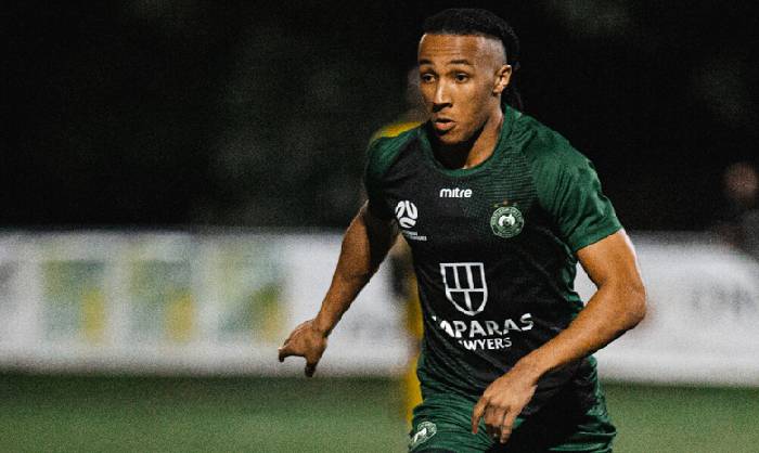 Nhận định, soi k&egrave;o Bentleigh Greens vs Melbourne Knights, 12h00 ng&agrave;y 10/6