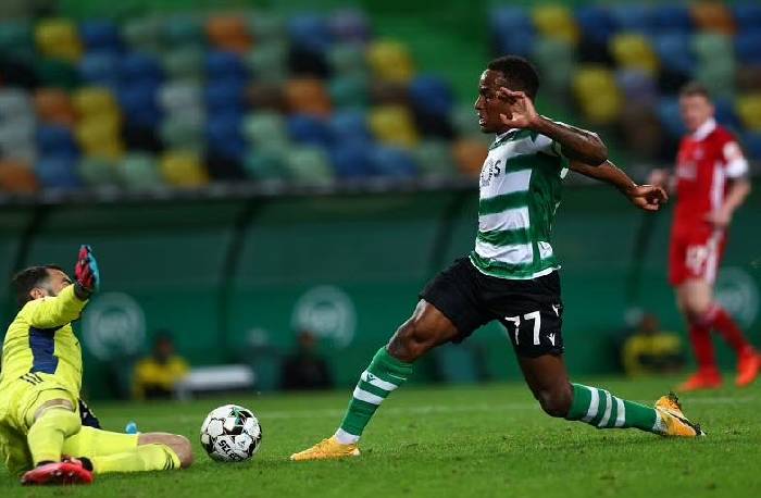 Nhận định, soi k&egrave;o Sporting Lisbon vs Portimonense, 0h ng&agrave;y 11/9