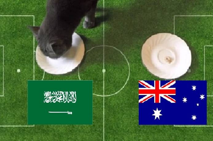 Ti&ecirc;n tri m&egrave;o Cass dự đo&aacute;n &Uacute;c vs Saudi Arabia, 16h10 ng&agrave;y 11/11