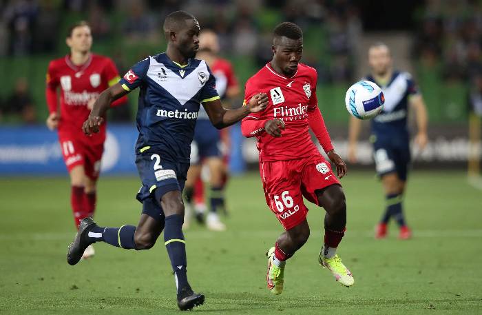 Soi k&egrave;o rung b&agrave;n thắng Adelaide vs Melbourne Victory, 15h45 ng&agrave;y 11/11