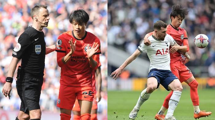 Trọng t&agrave;i thi&ecirc;n vị Tottenham ra mặt, sếp lớn muối mặt xin lỗi Brighton