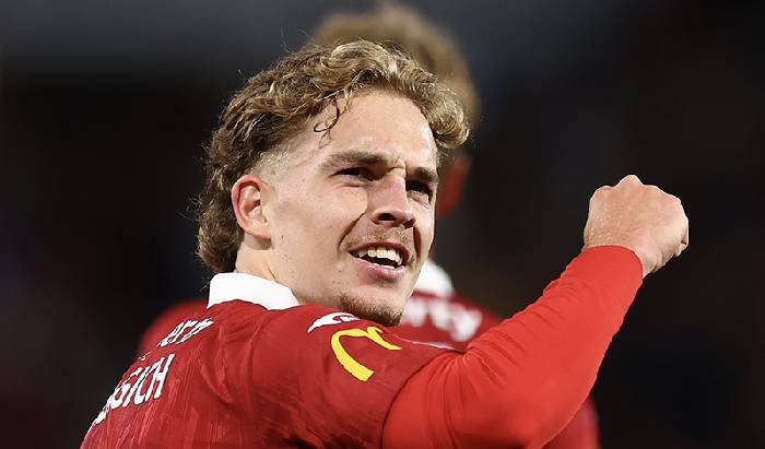 Nhận định soi k&egrave;o Newcastle Jets vs Adelaide United, 14h00 ng&agrave;y 11/4: Đối thủ kh&oacute; chịu