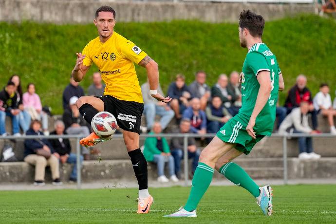 M&aacute;y t&iacute;nh dự đo&aacute;n b&oacute;ng đ&aacute; 11/8: Stade Nyonnais vs Schaffhausen