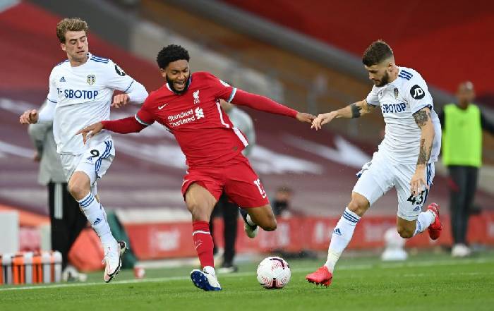 Dự đo&aacute;n Leeds vs Liverpool (22h30 12/9) bởi Marco Giacomelli