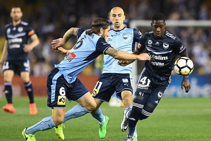 Nhận định, soi k&egrave;o South Melbourne vs Melbourne City, 15h30 ng&agrave;y 12/11