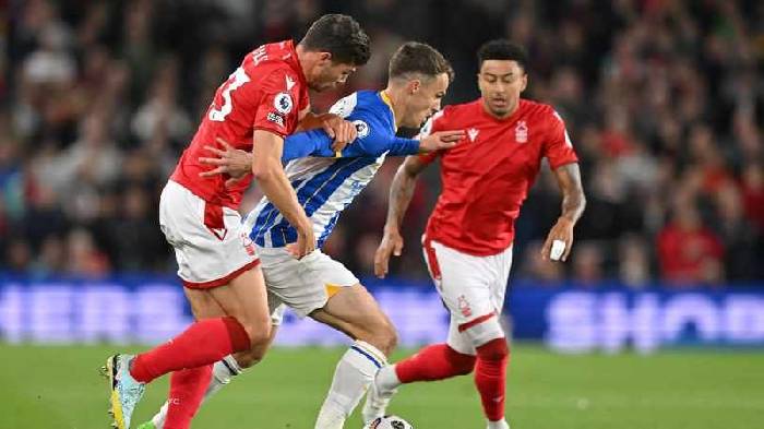 Ti&ecirc;n tri đại b&agrave;ng dự đo&aacute;n Nottingham Forest vs Crystal Palace, 22h ng&agrave;y 12/11