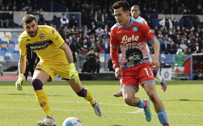 Nhận định, soi k&egrave;o Napoli vs Crystal Palace, 22h ng&agrave;y 11/12