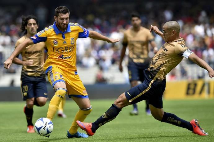 Nhận định, soi k&egrave;o Tigres UANL vs UNAM Pumas, 8h05 ng&agrave;y 12/2
