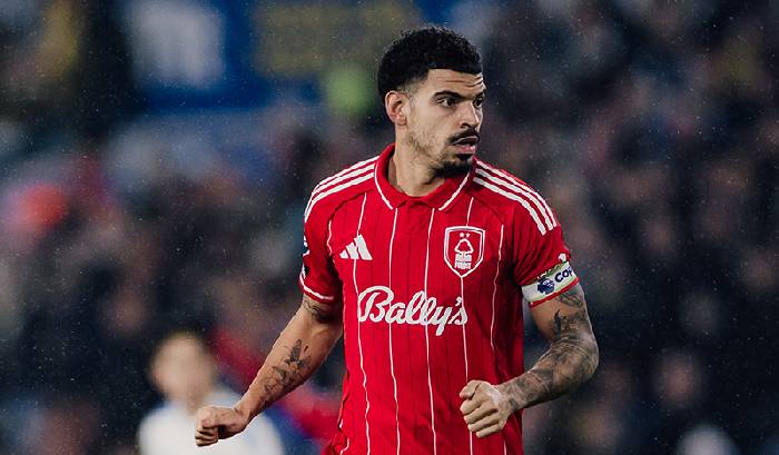 Nhận định soi k&egrave;o Nottingham Forest vs Wolves, 02h30 ng&agrave;y 12/2: Lại thua