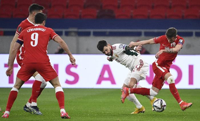 Dự đo&aacute;n, soi k&egrave;o thẻ v&agrave;ng Ba Lan vs Slovakia, 23h ng&agrave;y 14/6