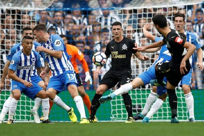 Ph&acirc;n t&iacute;ch k&egrave;o hiệp 1 Brighton vs Newcastle, 21h ng&agrave;y 13/8